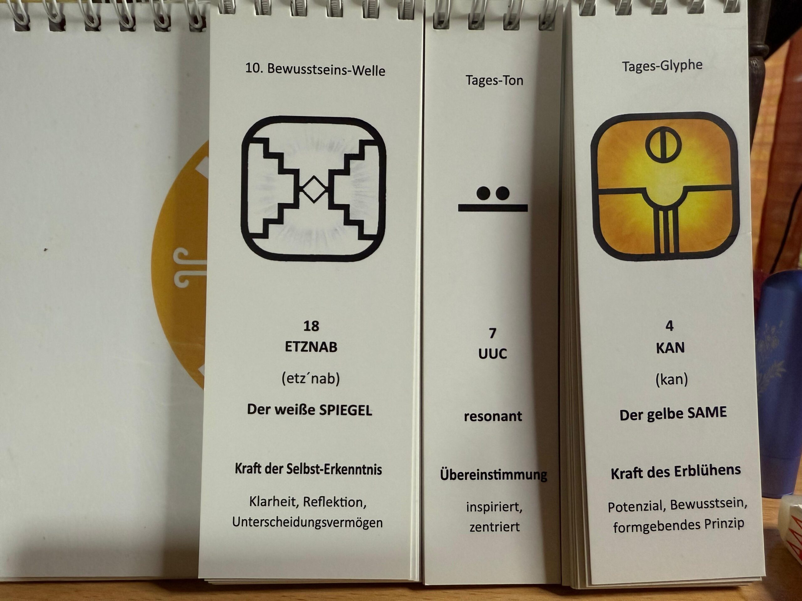 CanaMayTe - Kalender